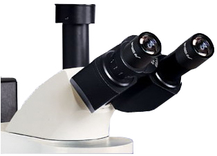 GFM-520荧光观察系统
